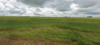 Imóvel 2498850 [''] - ['Palmeiras de Goiás, S/N'] [''] - ['Palmeiras De Goiás']/['GO'] - 1