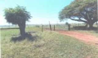 Imóvel 2374450 [''] - ['Distrito de Honorópolis, Campina Verde'] [''] - ['Campina Verde']/['MG'] - 1