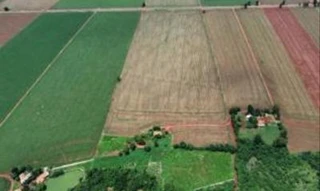 Imóvel 2491250 [''] - ['LOTE RURAL N° 66, PARCELA 01, DO 33° PERÍMETRO DA FAZENDA BRITÂNI'] [''] - ['Maripá']/['PR'] - 1