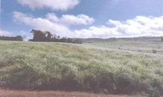 Imóvel 2814950 [''] - ['LOTE RURAL NÚMERO 487, DA SEGUNDA SECÇÃO SÃO FRANCISCO, COM A ÁREA DE 30.000M² DE UM TOTAL DE 161.000M², COMUNIDADE LINHA BOM RETIRO, SN, INTERIOR'] [''] - ['Tiradentes Do Sul']/['RS'] - 1