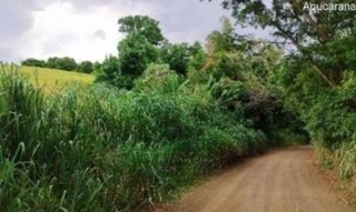 Imóvel 2468850 [''] - ['Lote de Terras sob n° 250-C, na Gleba Cambira, Zona Rural, do Município de Apucarana/PR'] [''] - ['Apucarana']/['PR'] - 1