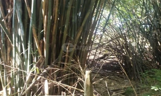 Imóvel 2741150 [''] - ['Esquina União, Giruá'] [''] - ['Giruá']/['RS'] - 1