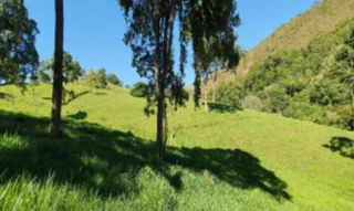 Imóvel 2278650 [''] - ['FAZENDA CACHOEIRA- SANTO ANTÔNIO, ESMERIL, LUGAR DENOMINADO RECANTO'] [''] - ['Patrocínio']/['MG'] - 1