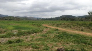Imóvel 2382650 [''] - ['Sitio Novo, localizado no Distrito de Barra de Figueira - Pocrane/MG'] [''] - ['Pocrane']/['MG'] - 1