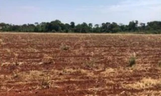 Imóvel 2552850 [''] - ['BR 060, sentido Goiânia entrada lado esquerdo ao lado da subestação de energia elétrica, na placa Antônio Menezes e filhos'] [''] - ['Rio Verde']/['GO'] - 1