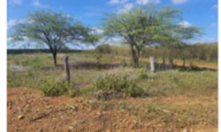 Imóvel 2888250 [''] - ['SÍTIO MAXIXEIRO, nas terras da fazenda Lagoas'] [''] - ['Dormentes']/['PE'] - 1