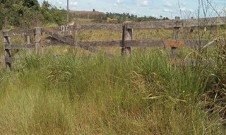Imóvel 2396551 [''] - ['ESTÂNCIA SOUZA III, Apiacás'] [''] - ['Apiacás']/['MT'] - 1