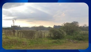 Imóvel 2617351 [''] - [', SN - GLEBA DE TERRAS, DENOMINADA GLEBA BURITIZAL 6'] [''] - ['Canto Do Buriti']/['PI'] - 1