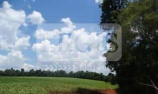 Imóvel 2526051 [''] - ['Partindo do Centro Estadual de Educação Profissional Agrícola CEEPA Fernando Costa, segue na direção oeste em estrada de terra por 1,0 Km, então, segue a direita por 3,9 Km em estrada de terra seguindo a direita por 600m até se deparar com os imóveis, antiga Fazenda Guaiuvira, da subdivisão da Fazenda Figueira, Santa Mariana/PR'] [''] - ['Santa Mariana']/['PR'] - 1