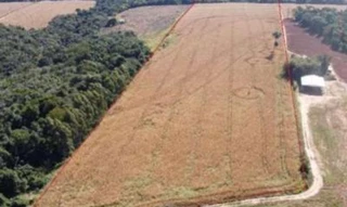 Imóvel 2518151 [''] - ['Lote 25RC, Gleba no 01, Colônia Goioerê'] [''] - ['Araruna']/['PR'] - 1