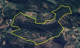 Imóvel 2695351 [''] - ['Distrito Espírito Santo, - Zona rural Caputira - MG'] [''] - ['Caputira']/['MG'] - 1