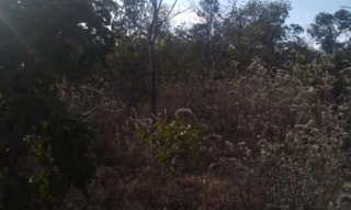 Imóvel 2551851 [''] - ['PARTE DESMEMBRADA DO LOTE N° 39-B, DO LOTEAMENTO DENOMINADO "PACIENCIA"'] [''] - ['Recursolândia']/['TO'] - 1