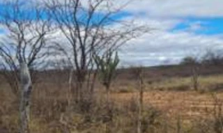 Imóvel 2646251 [''] - ['Fazenda Várzea Cumprida, Zona Rural'] [''] - ['Afrânio']/['PE'] - 1