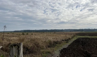 Imóvel 2720551 [''] - ['POTINGA'] [''] - ['São Mateus Do Sul']/['PR'] - 1