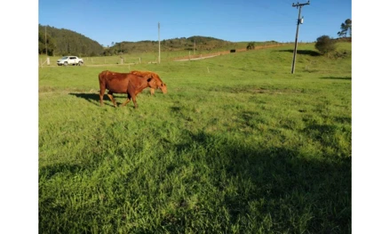 Imóvel 2532952 - Localidade de Flor Azul, Fazenda Cachoeirinha, Anita Garibaldi – SC