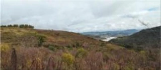 Imóvel 2552452 [''] - ['Estrada Geral Camargos'] [''] - ['Cerro Negro']/['SC'] - 1