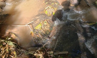 Imóvel 2677652 [''] - ['Esquina União, Giruá'] [''] - ['Giruá']/['RS'] - 1