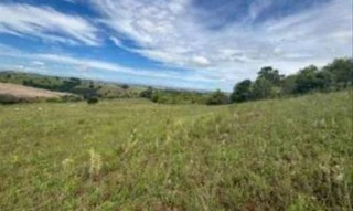 Imóvel 2868152 [''] - ['Lote de terras sob no 158, localizado na Estrada Água da Roseira, Gleba 14, denominado Sítio Água da Roseira, Colônia Muquilão, no Município de Nova Tebas, Comarca de Manoel Ribas/PR'] [''] - ['Nova Tebas']/['PR'] - 1