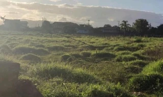 Imóvel 2663652 [''] - ['Nova Brasília - Distrito de Mirim, Imbituba'] ['Nova Brasília'] - ['Imbituba']/['SC'] - 1