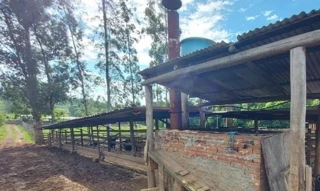 Imóvel 2697353 [''] - ['Nao informado Nao informado situado no lugar denominado Linha Nova Baixa'] [''] - ['Presidente Lucena']/['RS'] - 1