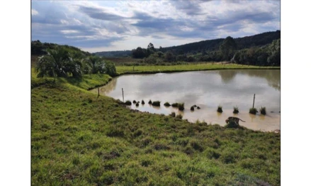 Imóvel 2532953 - Localidade de Flor Azul, fundos da Fazenda Santa Bárbara, Anita Garibaldi – S