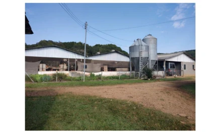 Imóvel 2532953 - Localidade de Flor Azul, fundos da Fazenda Santa Bárbara, Anita Garibaldi – S