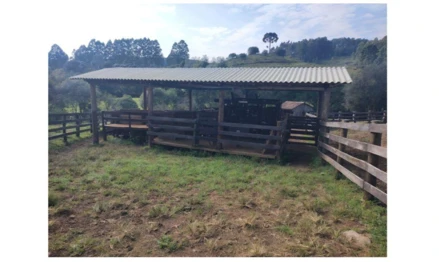 Imóvel 2532953 - Localidade de Flor Azul, fundos da Fazenda Santa Bárbara, Anita Garibaldi – S
