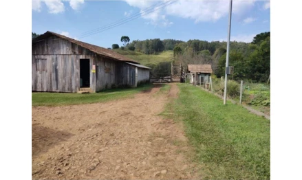 Imóvel 2532953 - Localidade de Flor Azul, fundos da Fazenda Santa Bárbara, Anita Garibaldi – S