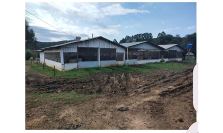 Imóvel 2532953 - Localidade de Flor Azul, fundos da Fazenda Santa Bárbara, Anita Garibaldi – S