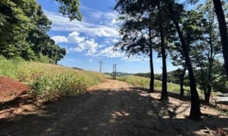 Imóvel 2733153 [''] - ["LOTE RURAL no 116 da Gleba Entre Rios, situado no Município de Itapejara D'Oeste/PR"] [''] - ["Itapejara D'Oeste"]/['PR'] - 1