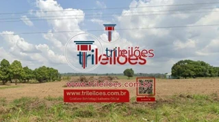 Imóvel 2605953 [''] - ['Lot. Sao Domingos , S/N , Lote 08 - Nova Altamira'] ['Nova Altamira'] - ['Altamira']/['PA'] - 1