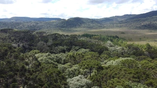 Imóvel 2760953 [''] - ['Linha Dona Ernestina, Colonia Concordia, Cruz Machado/PR'] [''] - ['Cruz Machado']/['PR'] - 1