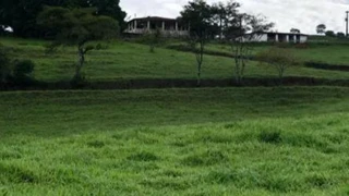 Imóvel 2617253 [''] - ['Fazenda Morro das Araras'] [''] - ['Canapi']/['AL'] - 1