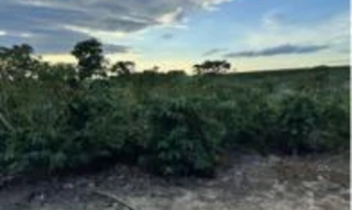 Imóvel 2603254 [''] - ['CÓRREGO DA JAPIRA, Distrito de Barra Seca'] [''] - ['Jaguaré']/['ES'] - 1