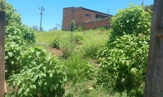 Imóvel 2655254 [''] - ['Data de terras no 49, da quadra no 26, com a area de 200,00 metros quadrados, situada no JARDIM NOVE ESPERANCA'] ['Nova Esperança'] - ['Londrina']/['PR'] - 1