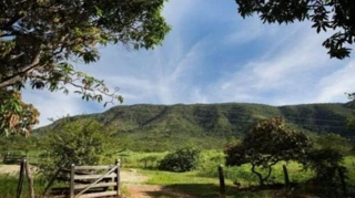 Imóvel 2439254 [''] - [', sn'] [''] - ['Colônia Leopoldina']/['AL'] - 1