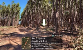 Imóvel 2339654 [''] - ['FAZENDA SÃO FELIX- PRÓXIMO À COMUNIDADE DO CANASTRÃO'] [''] - ['São Gonçalo Do Abaeté']/['MG'] - 1