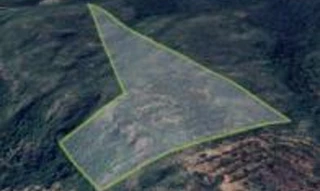 Imóvel 2767254 [''] - ['Fazenda Bacuri, c/ 41,7360ha'] [''] - ['Torixoréu']/['MT'] - 1