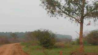 Imóvel 2434054 [''] - [', SN - Área Rural de Cachoeira do Sul'] [''] - ['Cachoeira Do Sul']/['RS'] - 1