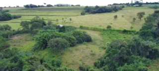 Imóvel 2274554 [''] - ['FAZENDA MATA BURROS- ACESSO PELA MARGEM DIREITA DA BR 354 SENTIDO PATOS DE MINAS – LAGOA FORMOSA, EM FRENTE À “PAMONHARIA DA ROÇA”'] [''] - ['Lagoa Formosa']/['MG'] - 1