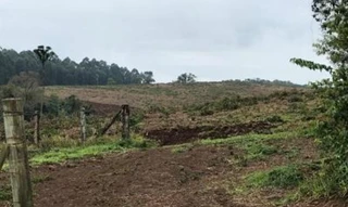 Imóvel 2601054 [''] - ['lote no 07, da Gleba no 06 do imóvel denominado Colônia São João do Sul, na localidade de Rio Bananas, do Município de Nova Laranjeiras PR'] [''] - ['Nova Laranjeiras']/['PR'] - 1