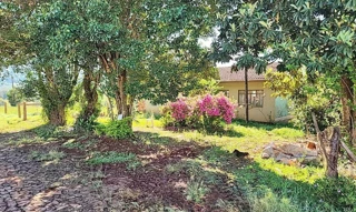 Imóvel 2546154 [''] - ['LOTE RURAL Nº 116, LOCALIZADO NA GLEBA 48-AM, NÚCLEO AMPERE, COLÔNIA MISSÕES'] [''] - ['Realeza']/['PR'] - 1