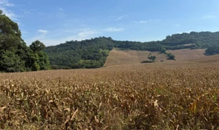 Imóvel 2779554 [''] - ['Parte do lote rural n.º 66, da Linha Moreira César'] [''] - ['Serafina Corrêa']/['RS'] - 1