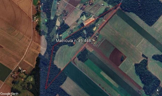 Imóvel 2810254 [''] - ['Fazenda Britânia, situado no Distrito de Porto Mendes, no Município e Comarca de Marechal Cândido Rondon'] [''] - ['Marechal Cândido Rondon']/['PR'] - 1