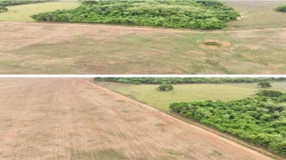 Imóvel 2762755 [''] - ['Fazenda Bom Jardim e Água Tirada, Piracanjuba/GO'] [''] - ['Piracanjuba']/['GO'] - 1