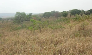 Imóvel 2768155 [''] - ['Fazenda Queiroz, Claraval'] [''] - ['Claraval']/['MG'] - 1