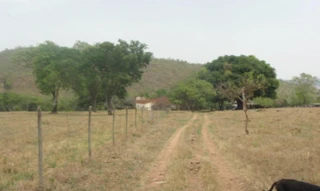 Imóvel 2768155 [''] - ['Fazenda Queiroz, Claraval'] [''] - ['Claraval']/['MG'] - 1