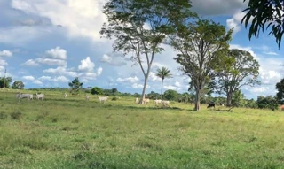 Imóvel 2593755 [''] - ['Linha 6, km 10,5 rumo escondido'] [''] - ['Colorado Do Oeste']/['RO'] - 1