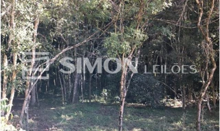 Imóvel 2646155 [''] - ['Prudentópolis/PR'] [''] - ['Prudentópolis']/['PR'] - 1