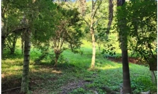 Imóvel 2663755 [''] - ['Linha Suspiro'] [''] - ['Nova Erechim']/['SC'] - 1